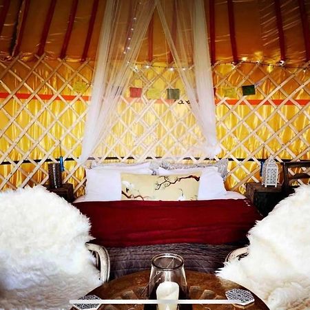 Traditional Yurt @ Longleat Warminster Bagian luar foto