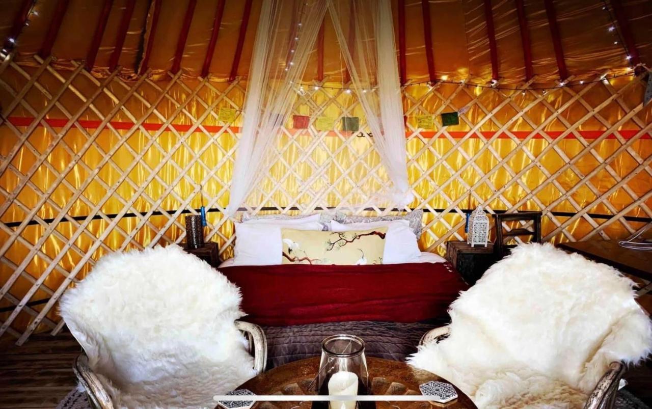 Traditional Yurt @ Longleat Warminster Bagian luar foto